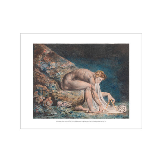 William Blake Newton mini print