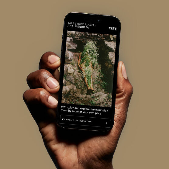 Ana Mendieta Smartphone Audio Guide