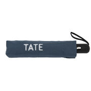 Grey Tate umbrella