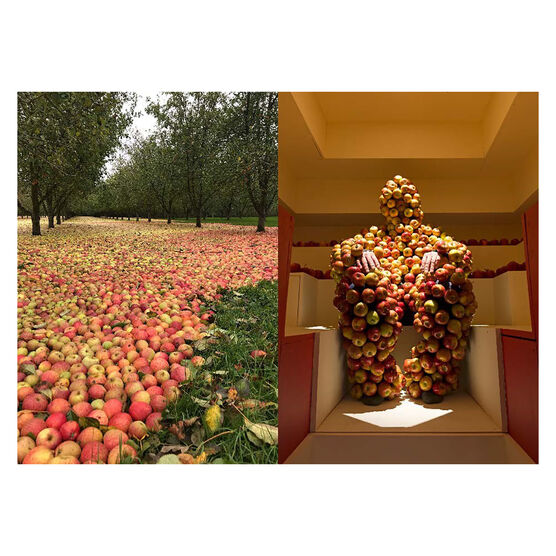 The Apple is Everything