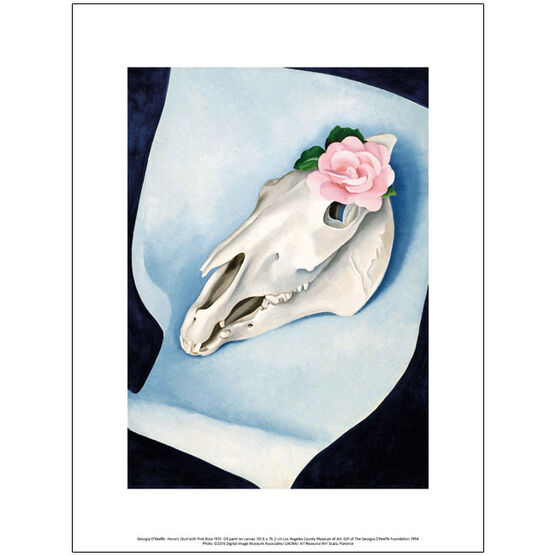 Georgia O'Keeffe Horse's Skull with Pink Rose (exhibition print)