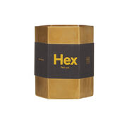 Hex pen pot