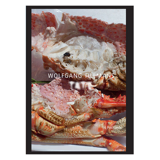 Wolfgang Tillmans postcard book