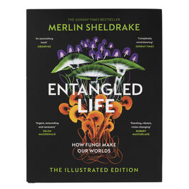 Entangled Life: How Fungi Make Our Worlds (The Illustrated Edition)