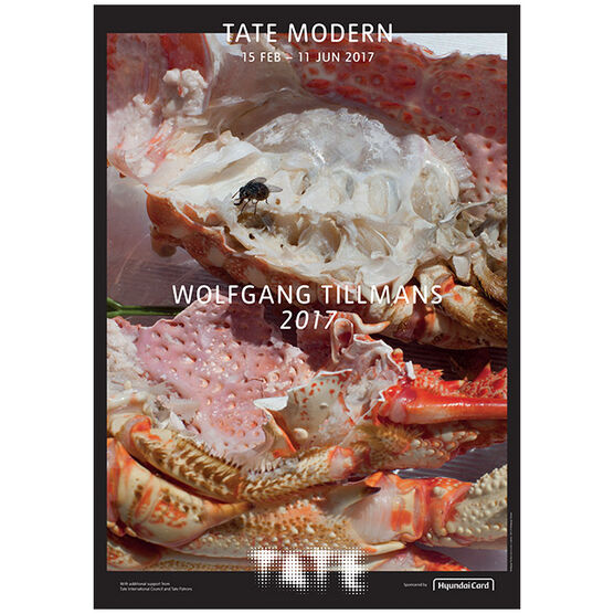 Wolfgang Tillmans astro crusto, a (exhibition poster)