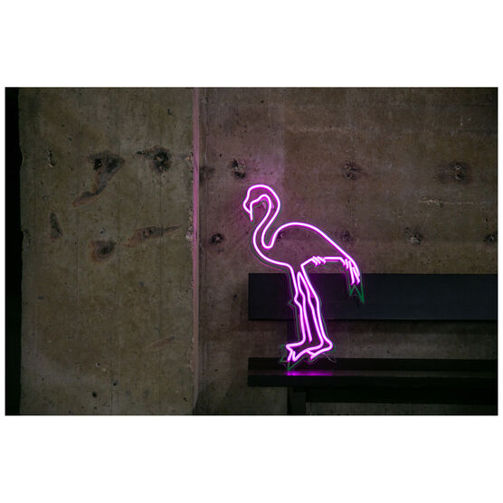 Chila Kumari Singh Burman Flamingo neon light