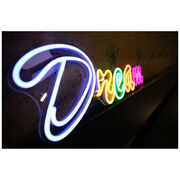 Chila Kumari Singh Burman Dream neon light