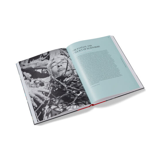 Surrealism Beyond Borders paperback exhibition book