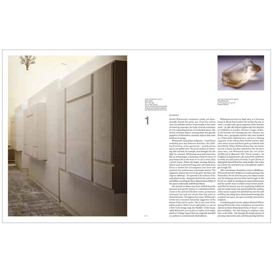 Rachel Whiteread (modern artist series)