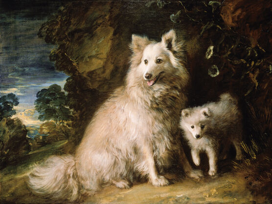 Thomas Gainsborough: Pomeranian Bitch and Puppy