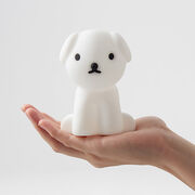 Snuffy lamp