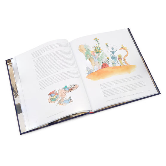Quentin Blake: Pens Ink & Places special edition