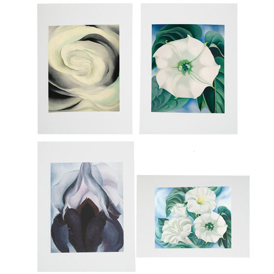 Georgia O'Keeffe Portfolio