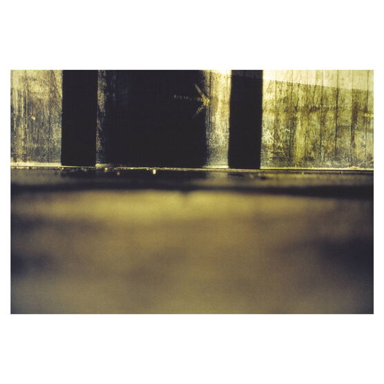 Richard Billingham Arrow