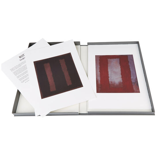 Mark Rothko Seagram Murals (portfolio)