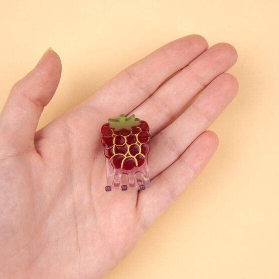 Raspberry mini hair claw