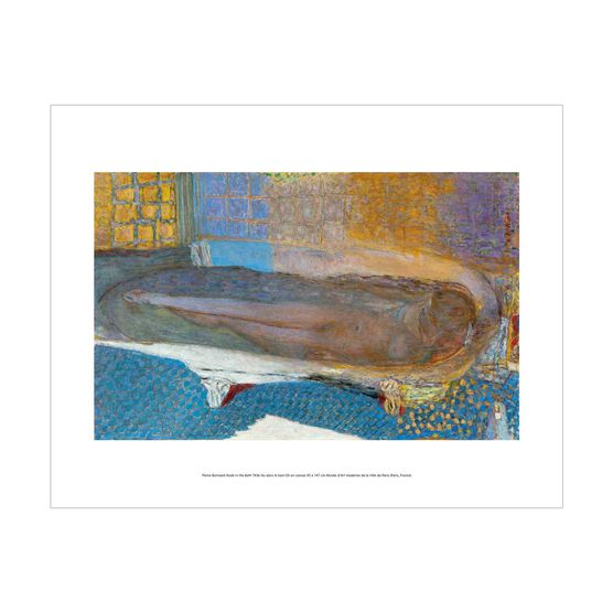 Pierre Bonnard: Nude in the Bath mini print