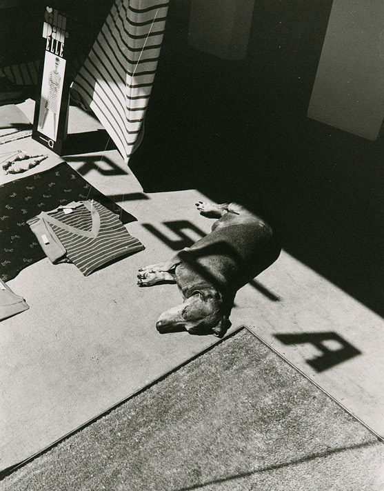 Dorothy Bohm