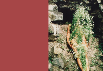 ANA MENDIETA