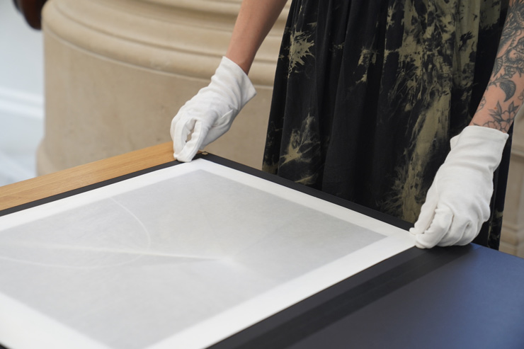 White-glove art handling White-glove art handling