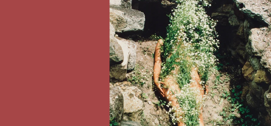 ANA MENDIETA