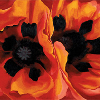 Prints By Colour