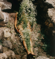 ANA MENDIETA