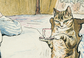 Cat Prints